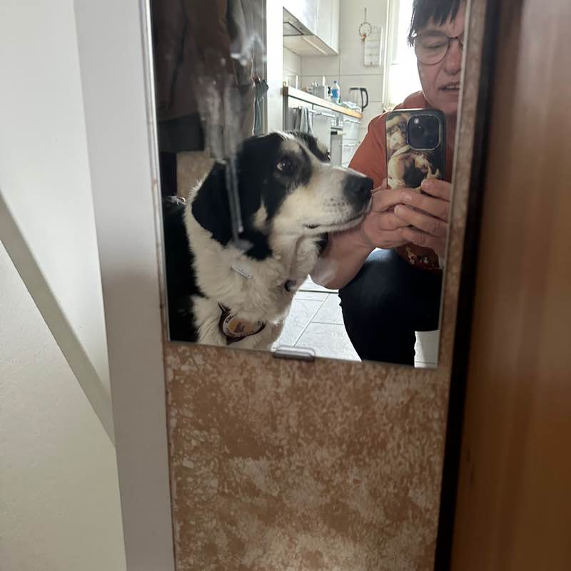 Wattenläufer Bea post image