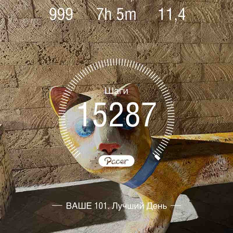 Pacer 07.10🙈 post 1