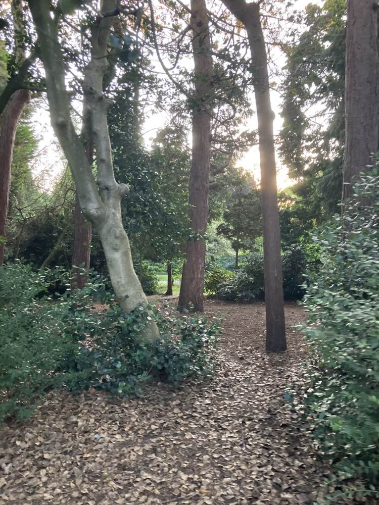 walking near me in Longford Park in autumn
