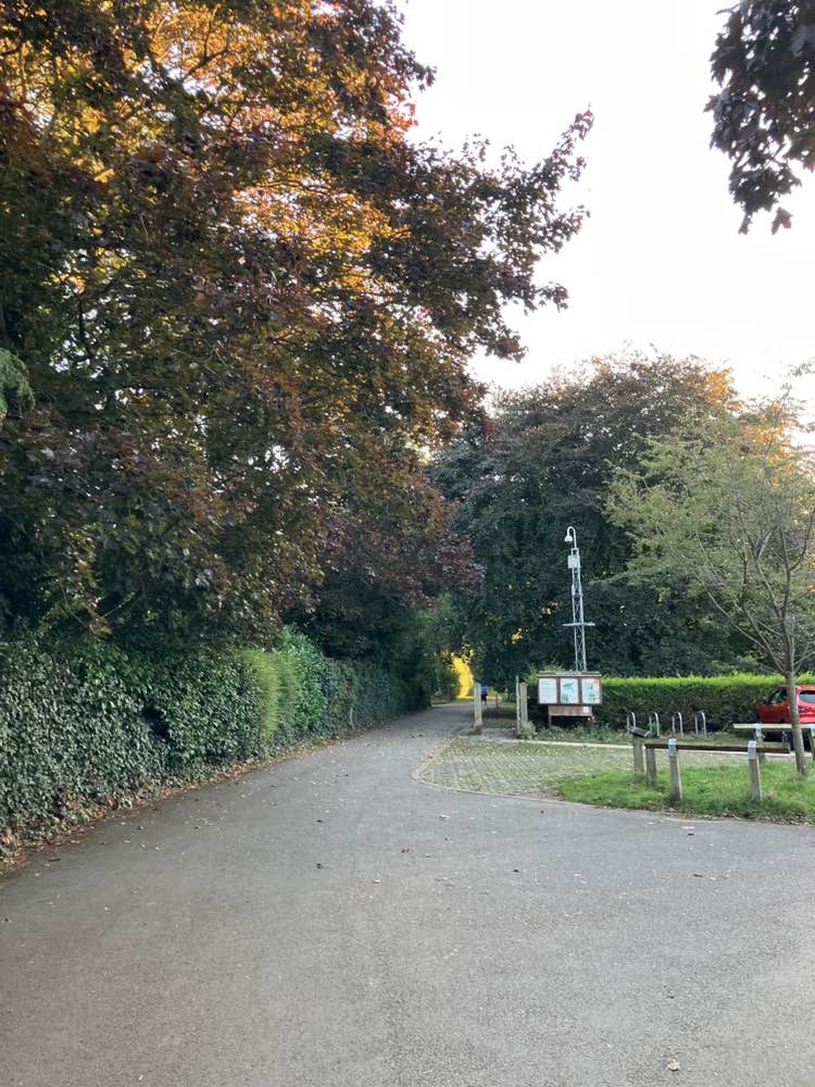 walking near me in Homestead Park in autumn
