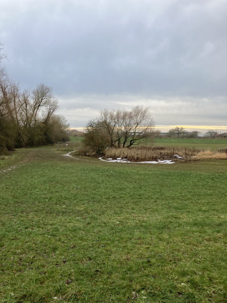 walking near me in Rawcliffe Bar Country Park in winter