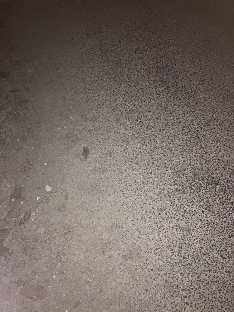 walking near me in Homestead Park in winter