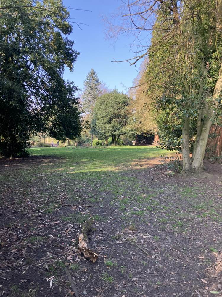 walking near me in Longford Park in spring