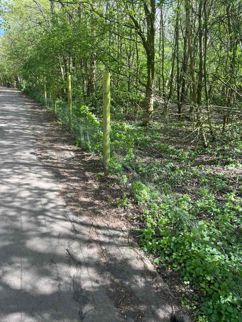 walking near me in Rawcliffe Bar Country Park in spring
