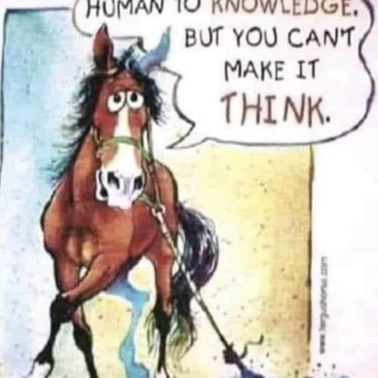 chunk76  ❤️🕊️🌞 post 3