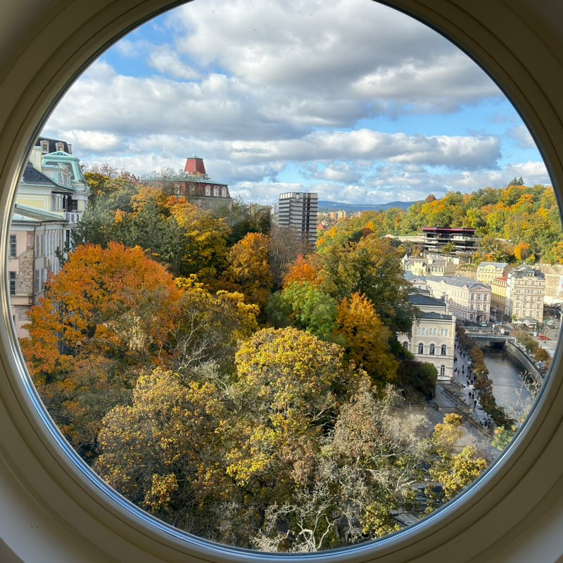 Andrew M. O. profile