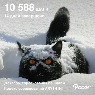 March Steps Challenge 🚳ДенискаЛюблюЛето post image