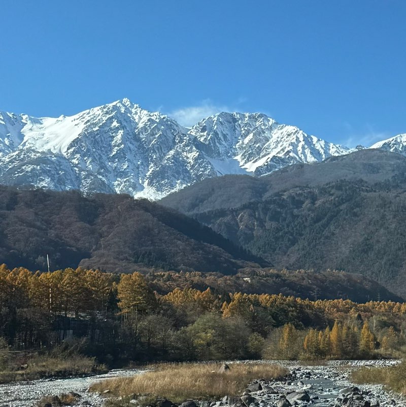 🍎りんご  🚴‍♀️🎈💨 profile