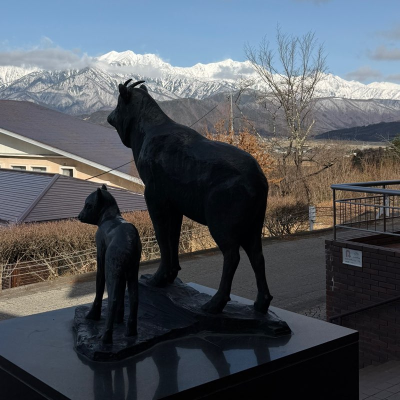 🍎りんご  🚴‍♀️🎈💨 profile