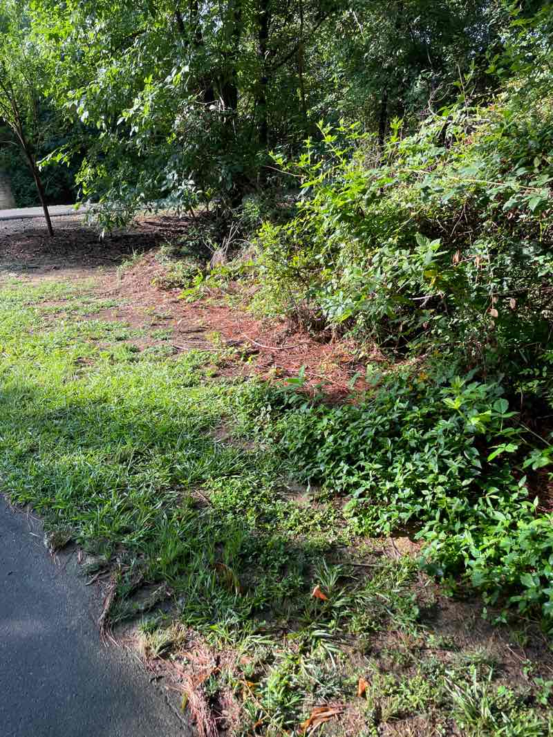 walking near me in Morrisville Community Park in summer