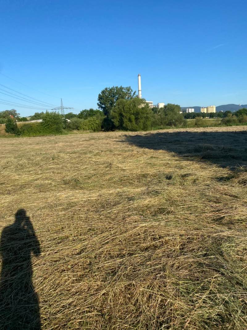 walking near me in Karlsaue in winter