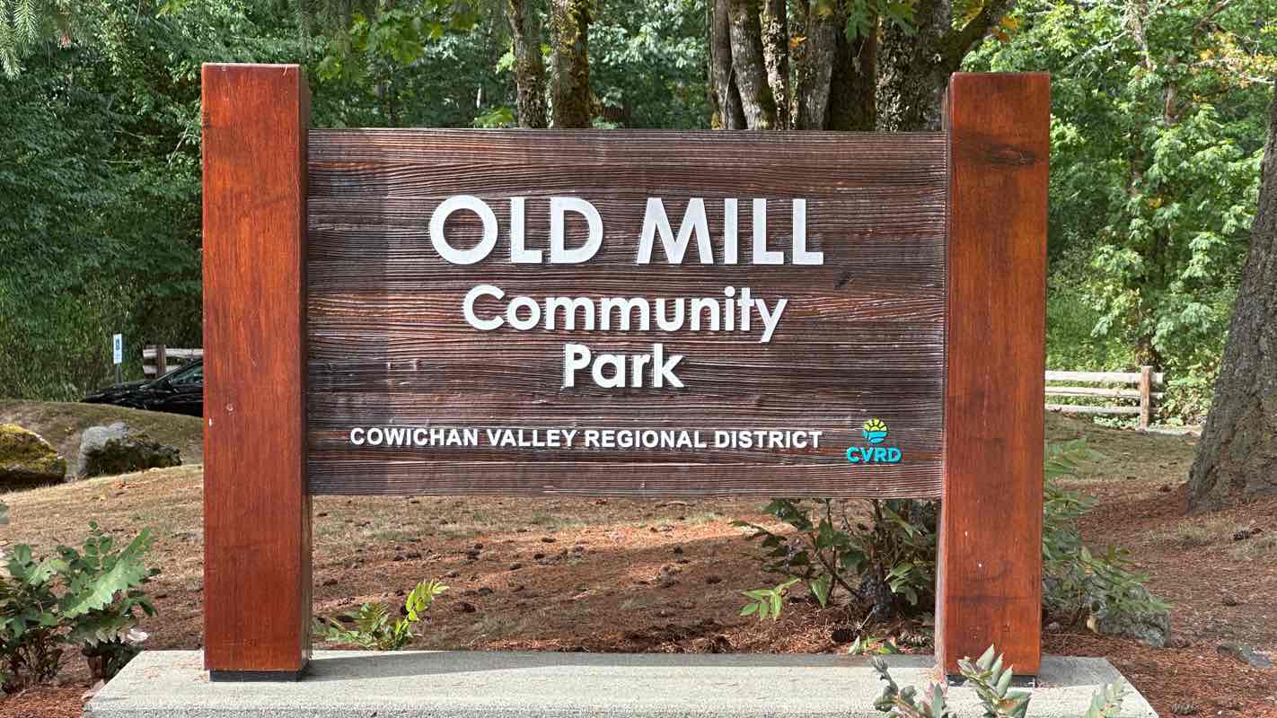 walking near me in Masons Beach Park in autumn