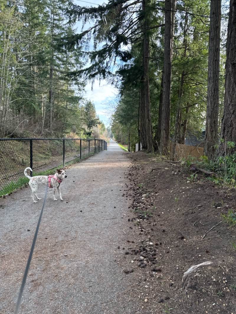 walking near me in Masons Beach Park in spring
