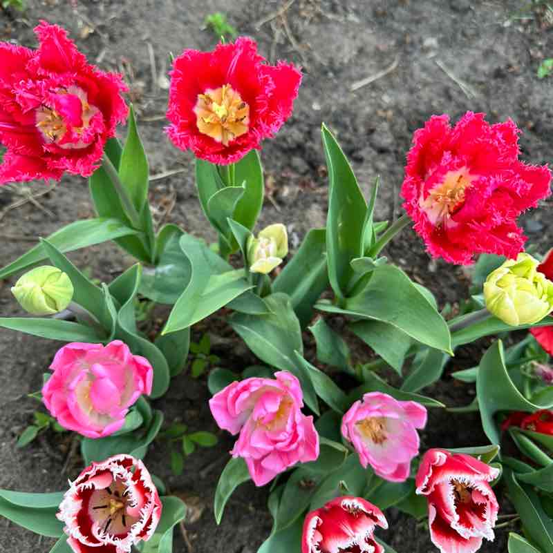 Ходим и здоровеем 🍓🥑🥙 Надежда🌸❤️🌸 post image