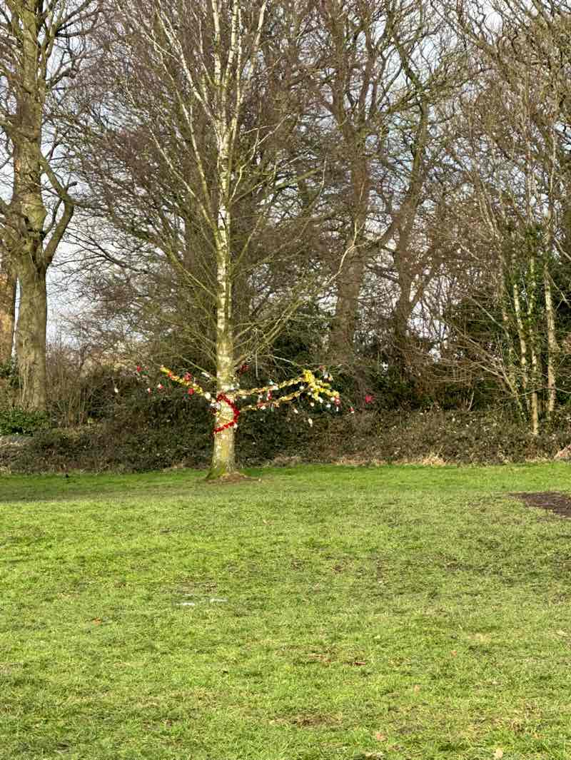walking near me in Parkinson’s Park in winter