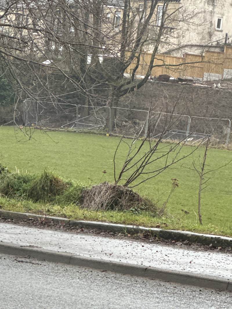 walking near me in Bramston Street Park in winter