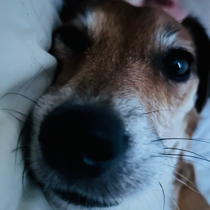 Desperate-Girl post 1