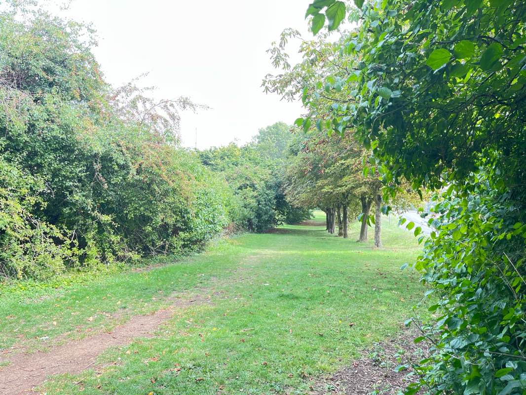 walking near me in Grangewood Park in autumn