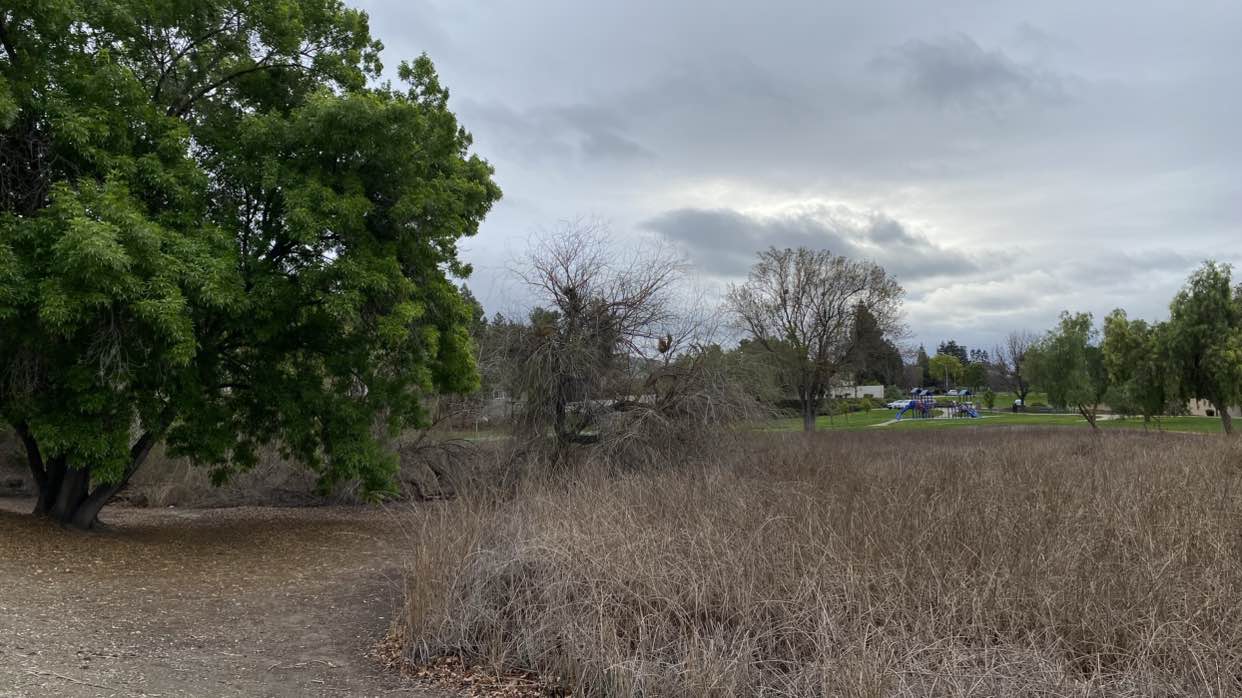 walking near me in Arroyo Agua Caliente Park in winter