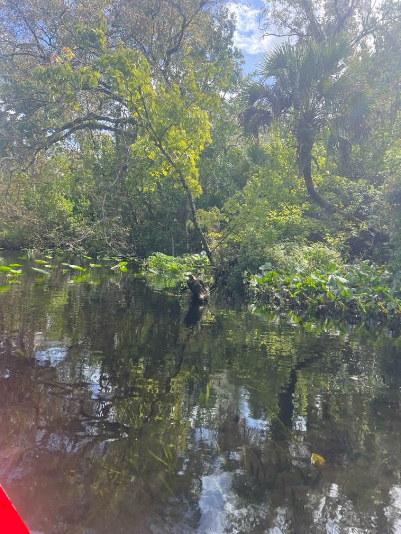 walking near me in Rock Springs Run State Preserve in autumn