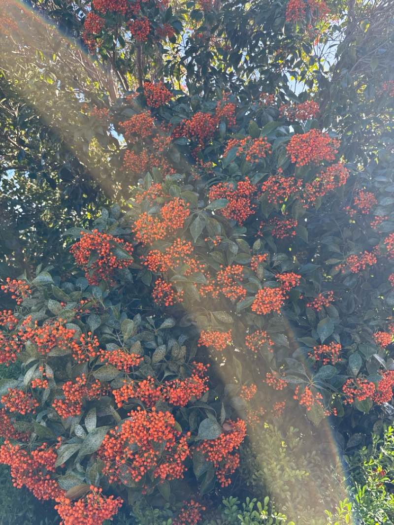 walking near me in Living Desert State Park in autumn