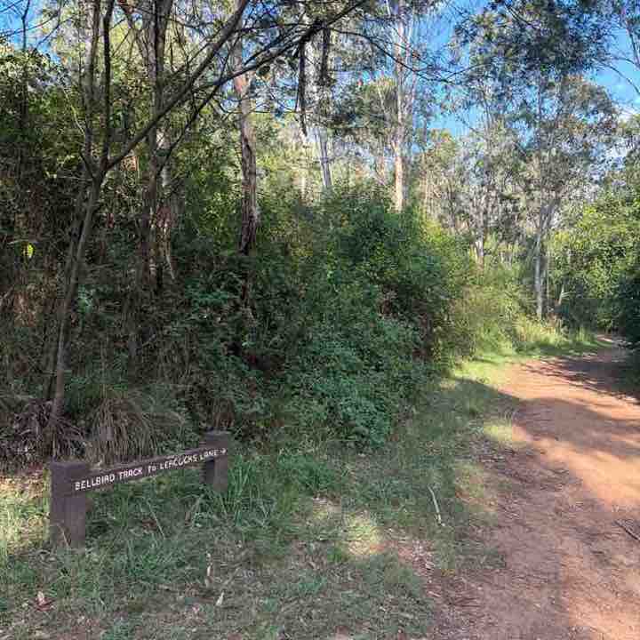 Dazy 🇮🇳🍁🇦🇺 post 1