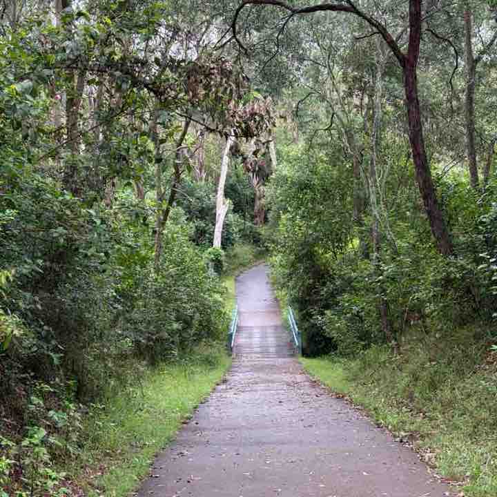 Dazy 🇮🇳🍁🇦🇺 post 1