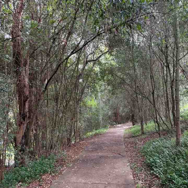 Dazy 🇮🇳🍁🇦🇺 post 2