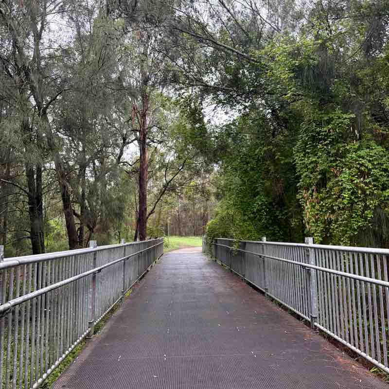 Dazy 🇮🇳🍁🇦🇺 post 1