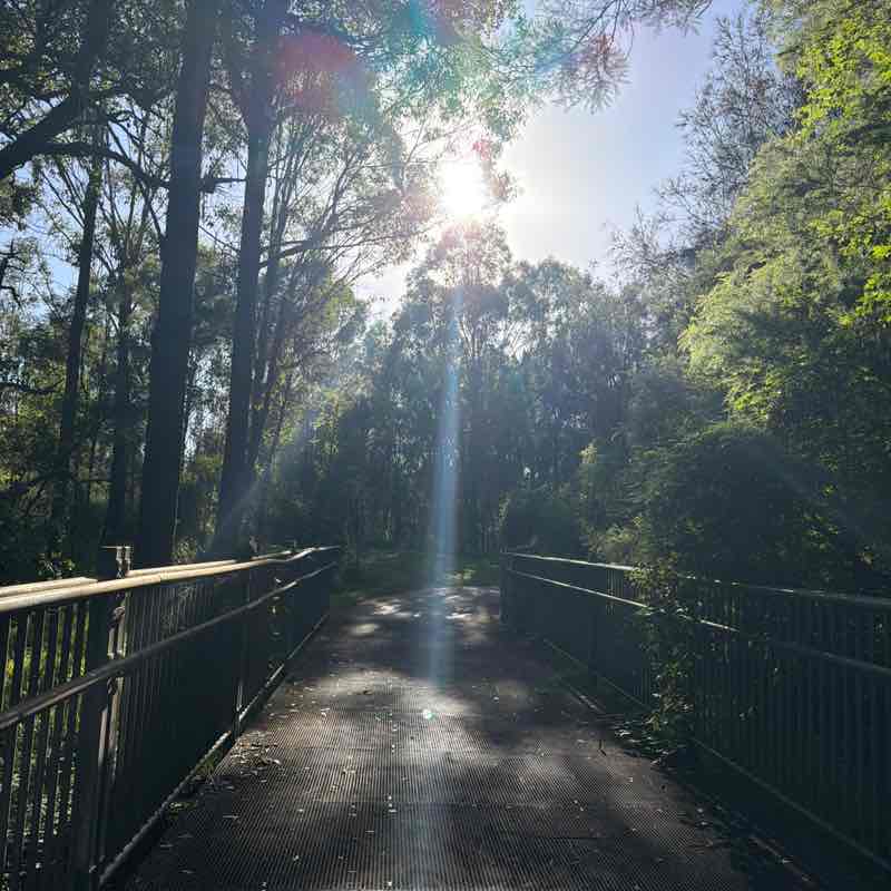 Dazy 🇮🇳🍁🇦🇺 post 2