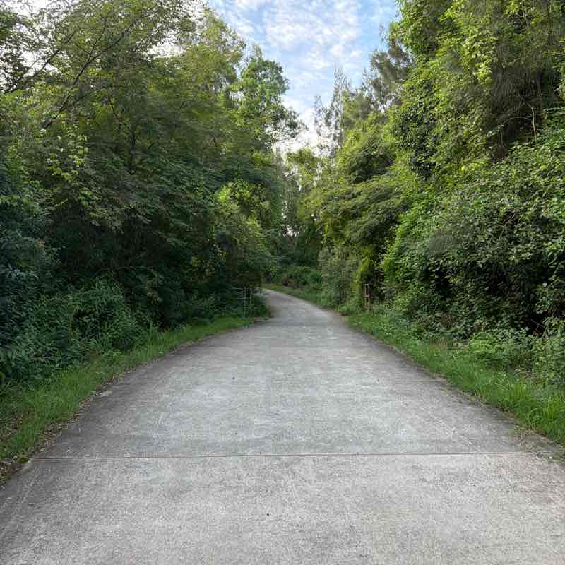 Dazy 🇮🇳🍁🇦🇺 post 1