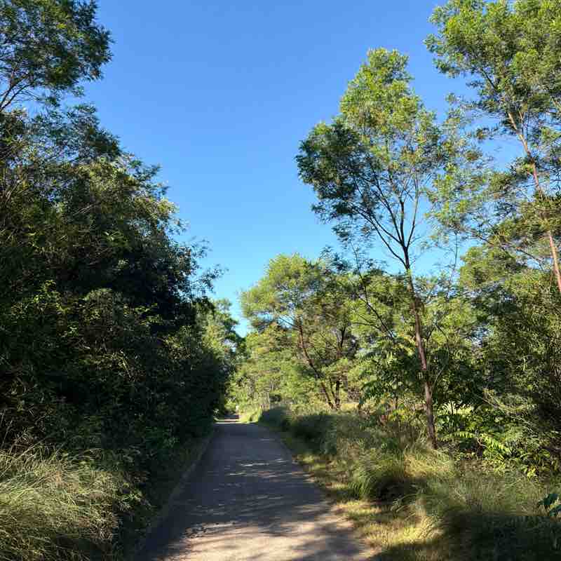 Dazy 🇮🇳🍁🇦🇺 post 1