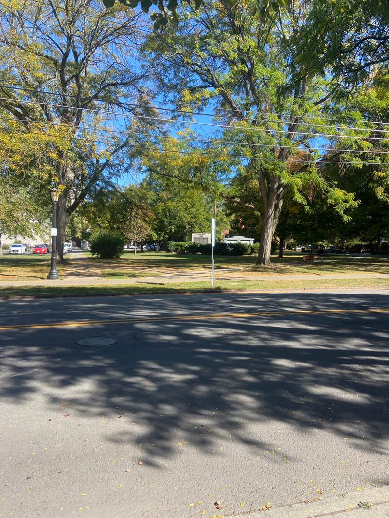 walking near me in DeWitt Park in autumn
