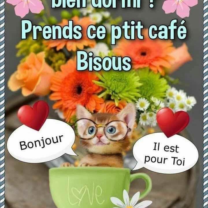 Les Amis à Melko Alain 🇫🇷Melko post image