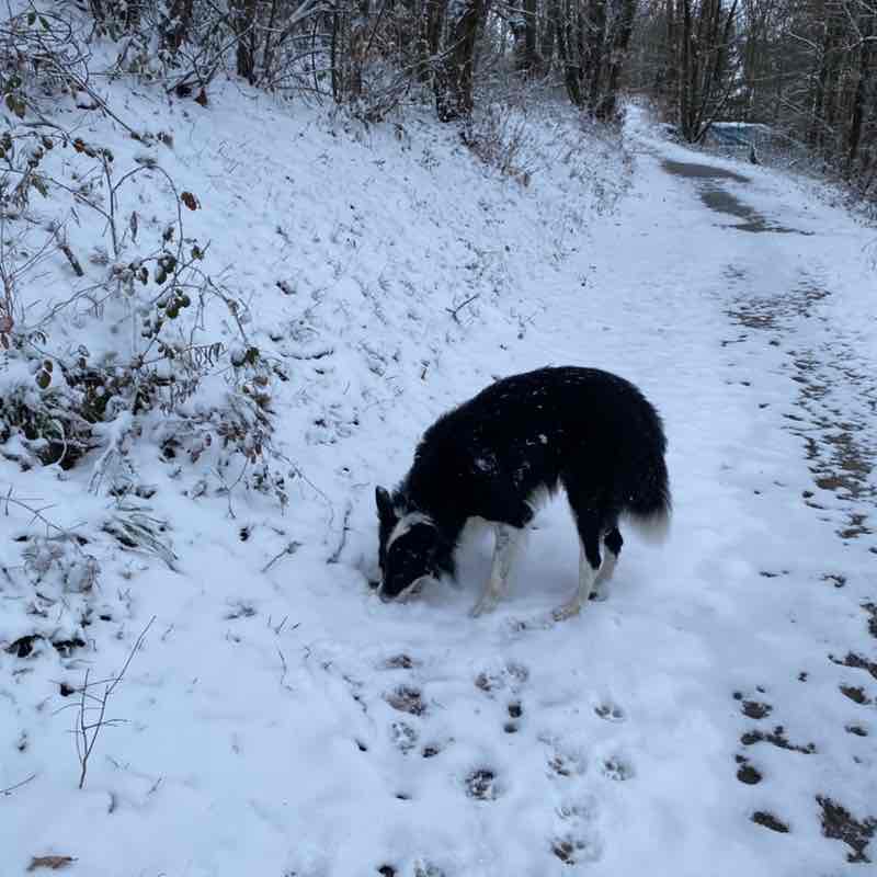 Les Amis à Melko Alain 🇫🇷Melko post image