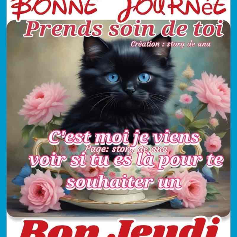 Les Amis à Melko Alain 🇫🇷Melko post image