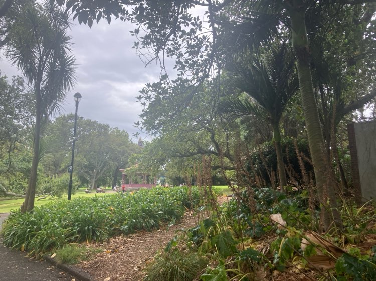 walking near me in Albert Park in autumn