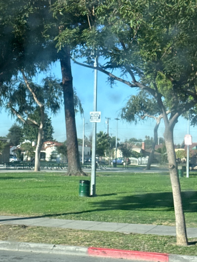 walking near me in Arceo Park in autumn
