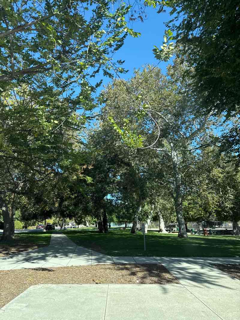 walking near me in Memorial Park in autumn