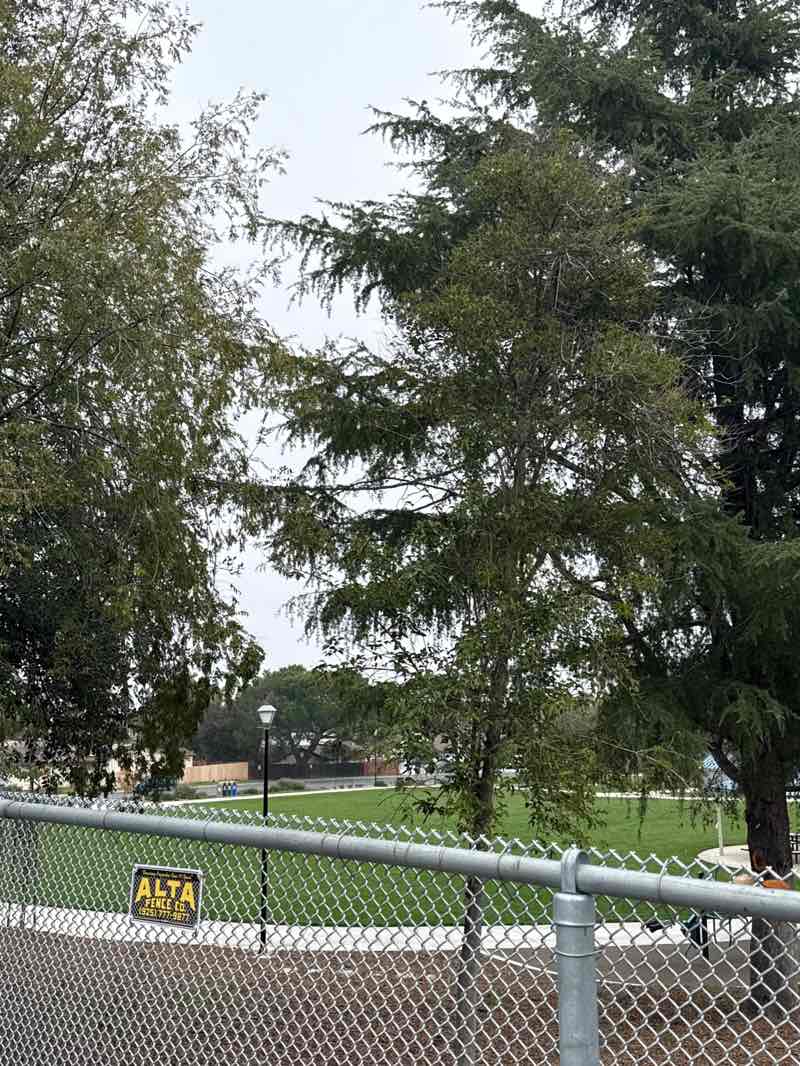 walking near me in Contra Loma Park in autumn