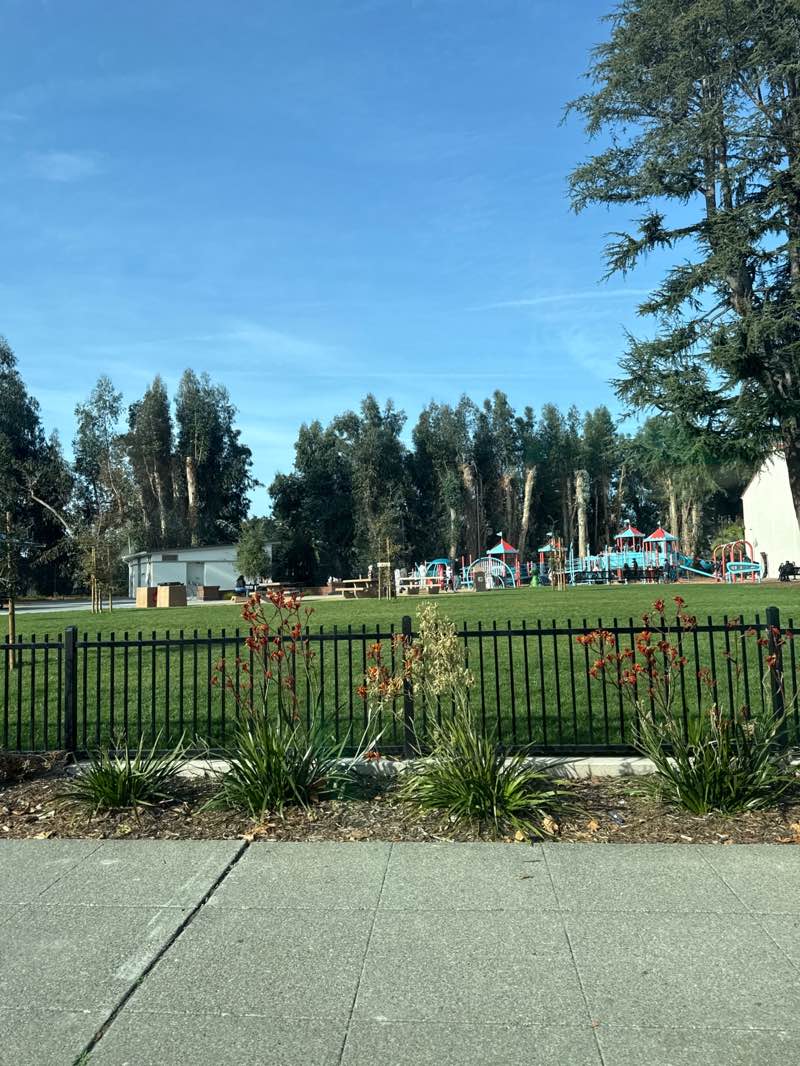 walking near me in Memorial Park in autumn