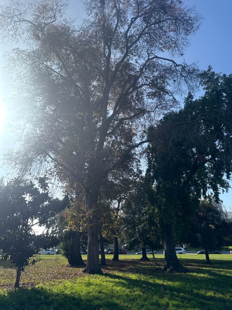 walking near me in Lakeside Park in autumn