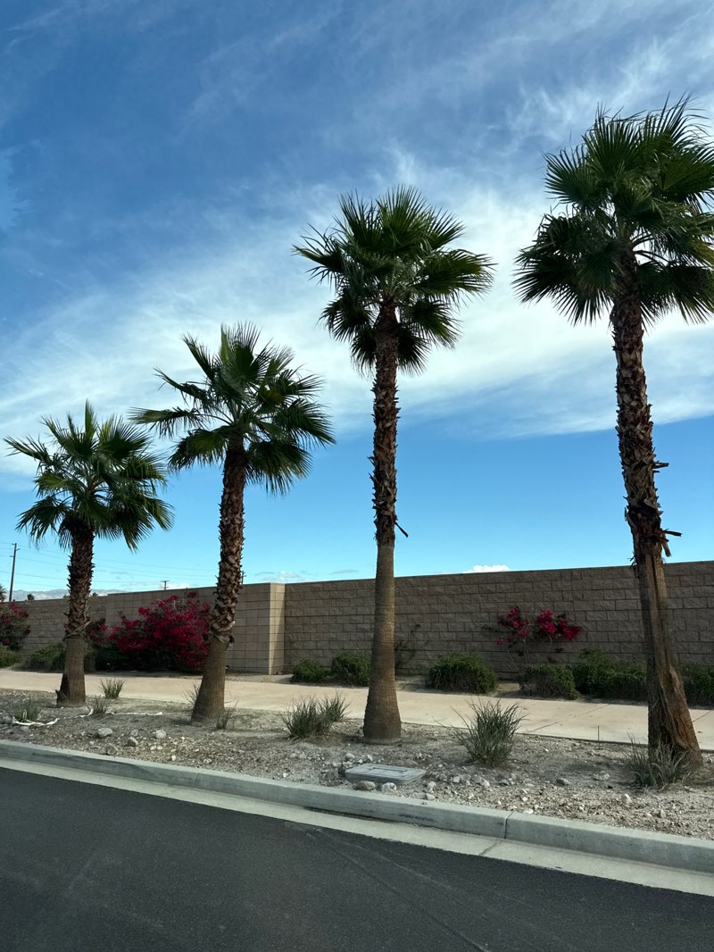 walking near me in Gateway Park in autumn