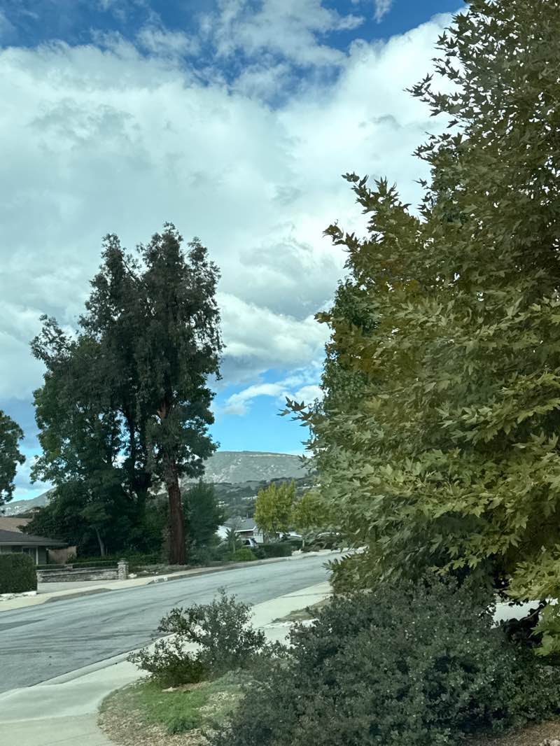walking near me in Cahuilla Park in autumn