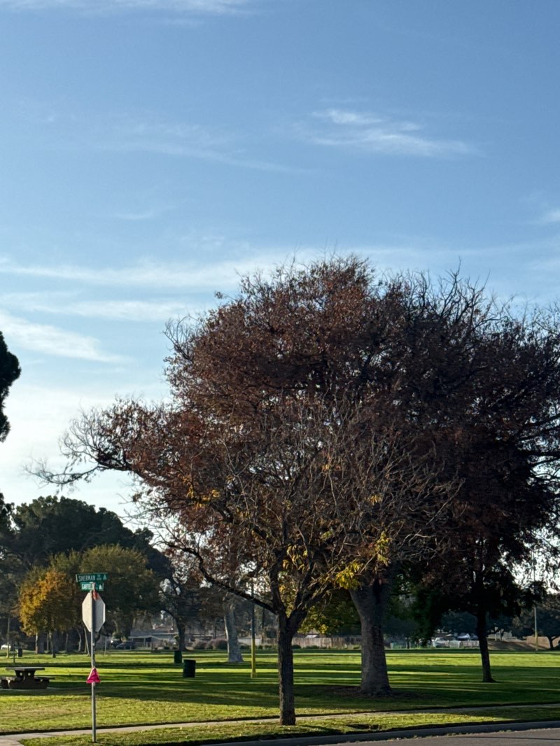 walking near me in Hunt Park in winter