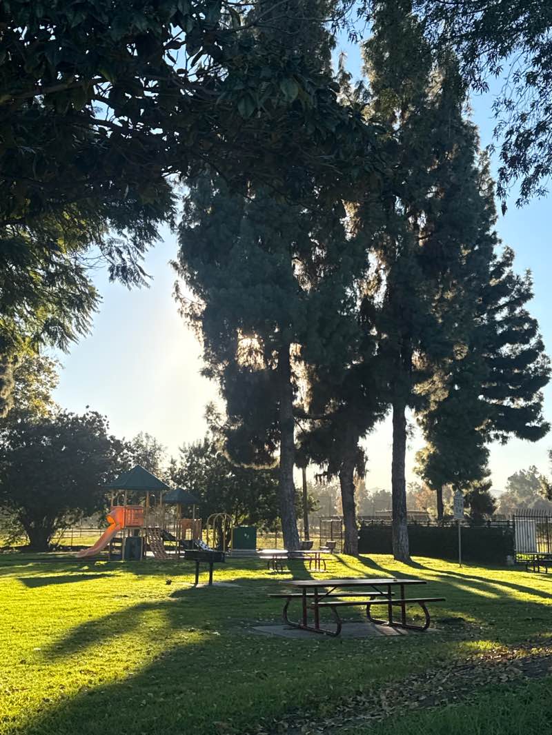 walking near me in Klingerman Park in winter