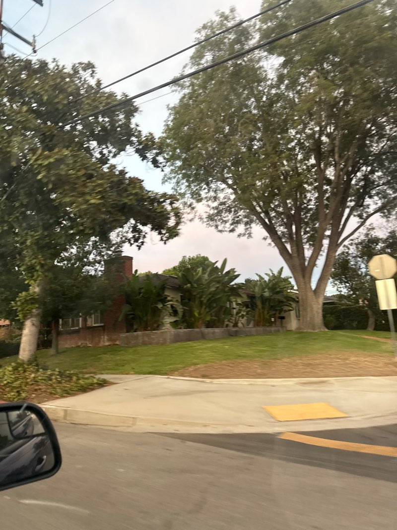 walking near me in Larkin Park in autumn