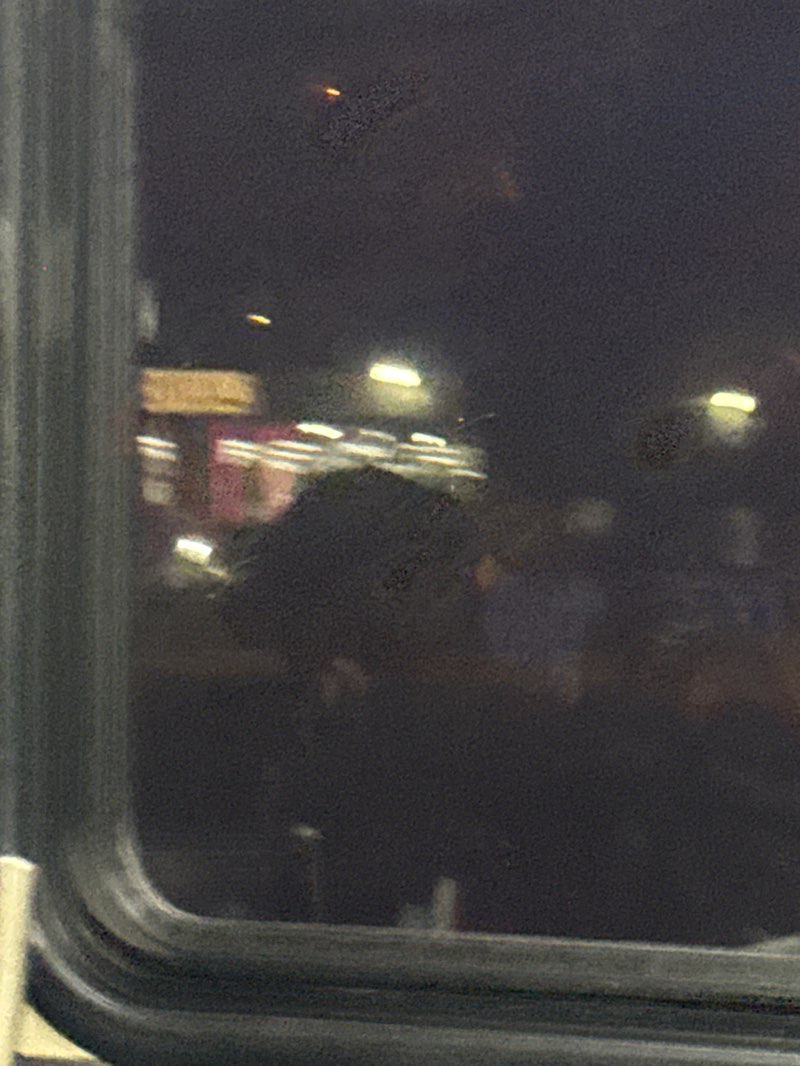 walking near me in La Palma Park in winter