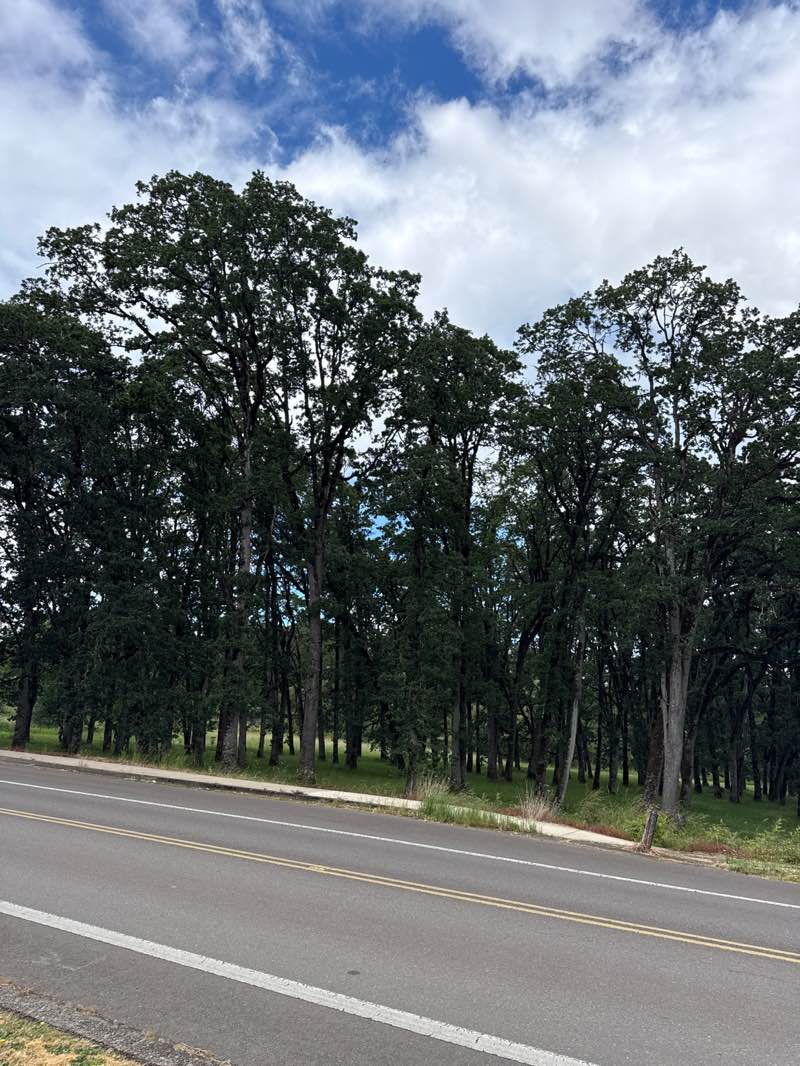walking near me in Adair County Park in summer