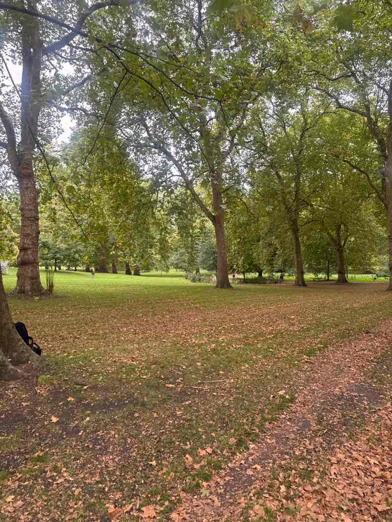 walking near me in The Green Park in autumn